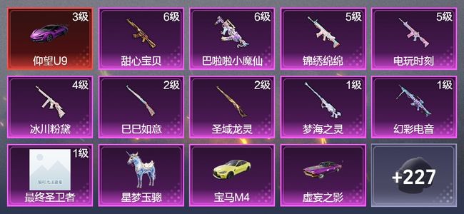 和平精英【苹果版】5载具 10升级枪 30粉装 113枪皮 103套装 55079热力 4印记