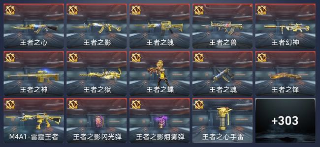 穿越火线：枪战王者34王者 304英雄武器 13英雄角色 500万化 专家S