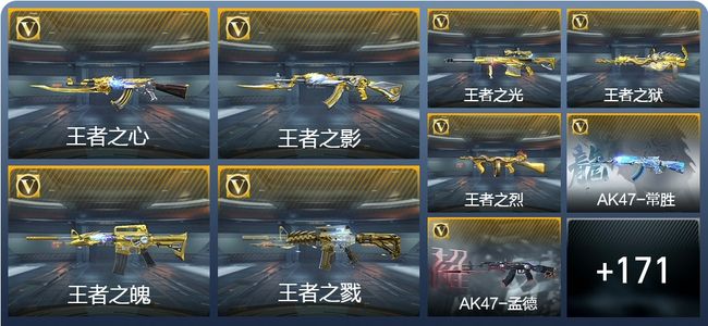 穿越火线：枪战王者V9 24王者武器 183英雄武器 8英雄角色 495万化 精英