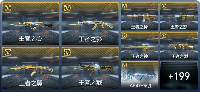 穿越火线：枪战王者V9 29王者武器 221英雄武器 576万化 专家S