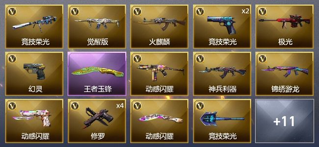 穿越火线（CF）1王者武器 31V武器 1V角色 2皮肤 可排位 枪王