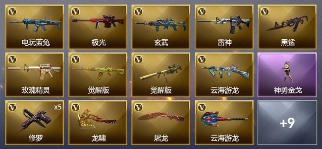 穿越火线（CF）1王者武器 21V武器 6皮肤 可排位