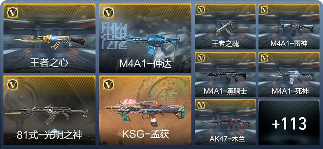 穿越火线：枪战王者3王者武器 122英雄武器 2英雄角色 183万化 专家S