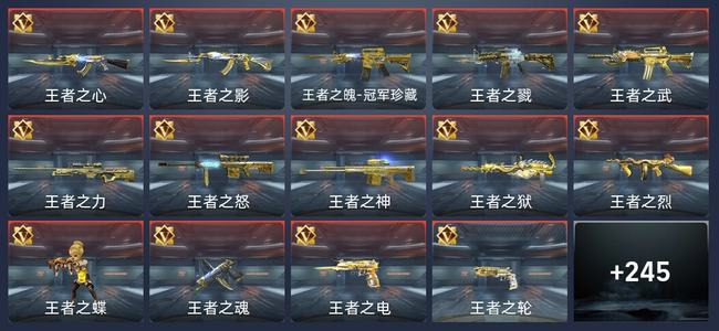 穿越火线：枪战王者V8 247英雄武器 14英雄角色 463万化 精英