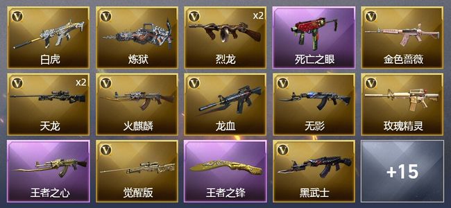 穿越火线（CF）2王者武器 23V武器 1皮肤 可排位 传奇