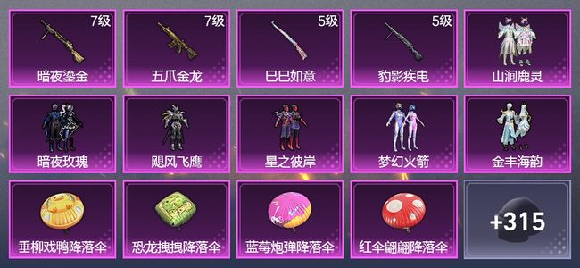 和平精英4升级枪 6粉装 1飞行器 178枪皮 139套装 63618热力 8印记 星钻