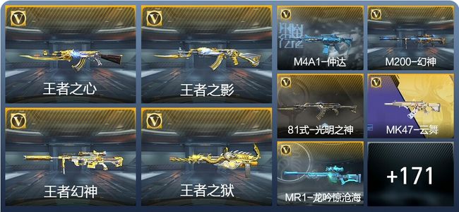 穿越火线：枪战王者V6 8王者武器 201英雄武器 5英雄角色 324万化 枪神