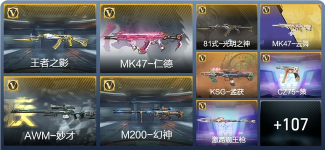 穿越火线：枪战王者V5 4王者武器 130英雄武器 1英雄角色 210万化 枪王