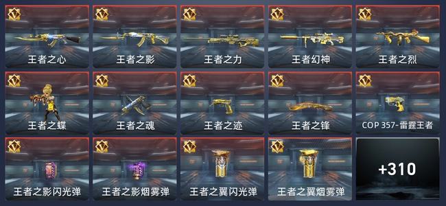 穿越火线：枪战王者V7 28王者 311英雄武器 13英雄角色 365万化 专家S