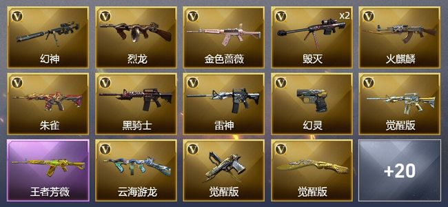 穿越火线（CF）5王者武器 30V武器 1V角色 17皮肤 不可排位 传奇