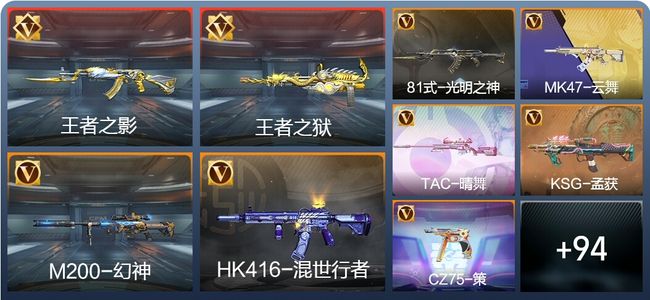 穿越火线：枪战王者V2 6王者 205英雄武器 专家