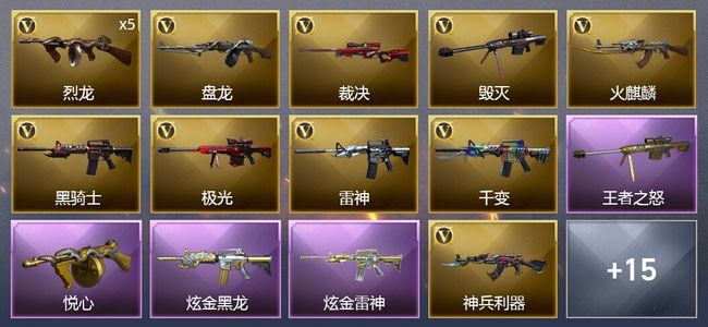 穿越火线（CF）2王者武器 2炫金武器 25V武器 1V角色 5皮肤 可排位 新锐