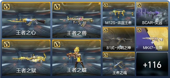 穿越火线：枪战王者9王者武器 125英雄武器 3英雄角色 142万化 专家S