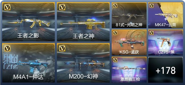 穿越火线：枪战王者V3 7王者武器 207英雄武器 5英雄角色 356万化 枪王SS