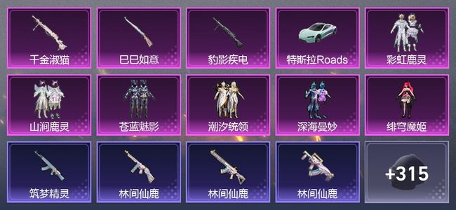 和平精英1载具 3升级枪 6粉装 1尾迹 179枪皮 177套装 65576热力