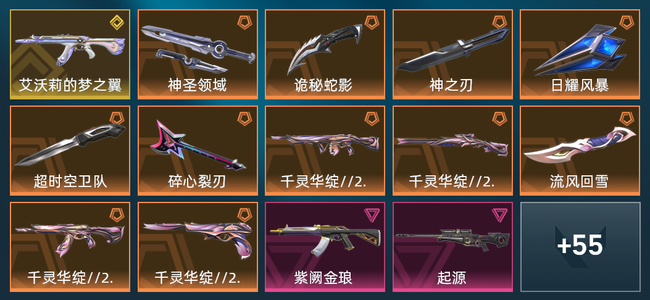 无畏契约1金皮 11橙皮 7紫皮 69皮肤 27320皮肤总价值 990已用源晶 铂金