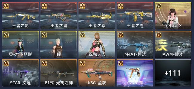 穿越火线：枪战王者V6 7王者 217英雄武器 专家