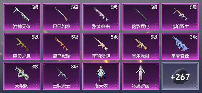 和平精英12升级枪 2粉装 1尾迹 180枪皮 110套装 4,6165热力 4印记 皇冠