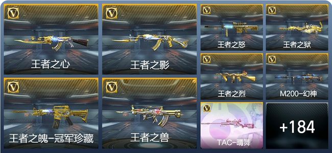 穿越火线：枪战王者V8 12王者武器 206英雄武器 6英雄角色 331万化 精英