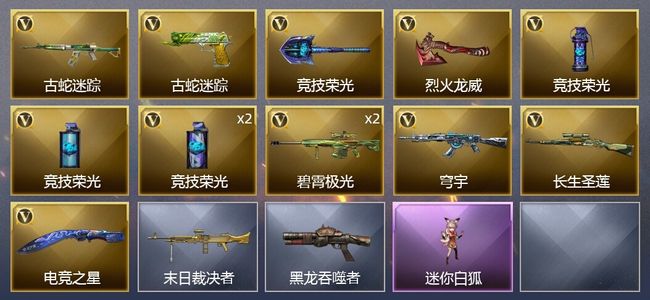 穿越火线（CF）13V武器 1皮肤 可排位 专家