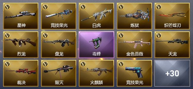 穿越火线（CF）4王者武器 81V武器 3V角色 3皮肤 可排位