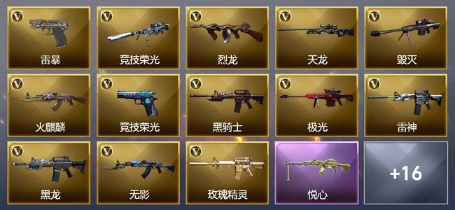 穿越火线（CF）2王者武器 1炫金武器 43V武器 2V角色 6皮肤 可排位