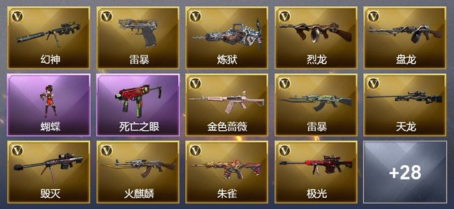 穿越火线（CF）9王者武器 5炫金武器 95V武器 5V角色 8皮肤 可排位