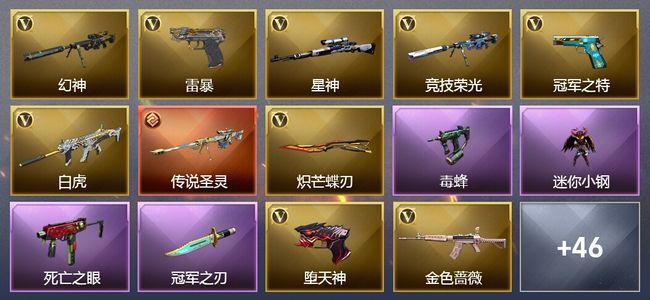 穿越火线（CF）1传说武器 13王者武器 2炫金武器 102V武器 9V角色 24皮肤 可排位