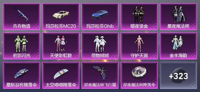 和平精英【苹果版】2载具 1升级枪 8粉装 1飞行器 192套装 70505热力 13印记