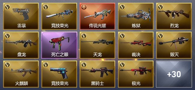 穿越火线（CF）1传说武器 8王者武器 1炫金武器 92V武器 6V角色 10皮肤 可排位