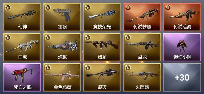 穿越火线（CF）2传说武器 17王者武器 68V武器 7V角色 10皮肤 可排位