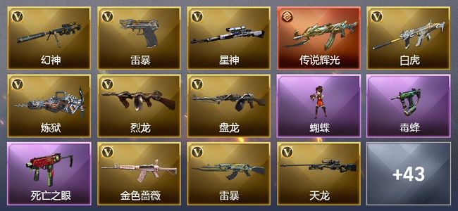 穿越火线（CF）1传说武器 19王者武器 3炫金武器 96V武器 10V角色 13皮肤 可排位