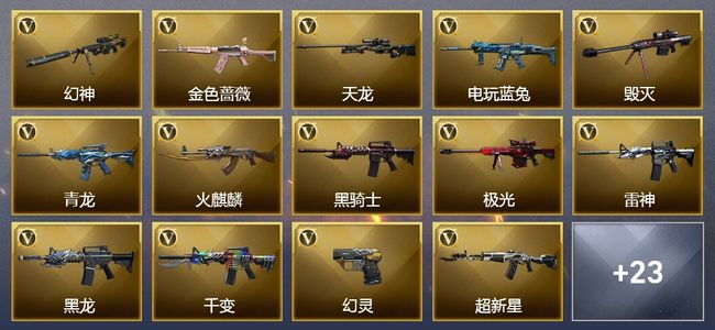 穿越火线（CF）16王者武器 1炫金武器 71V武器 9V角色 21皮肤 可排位
