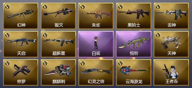 穿越火线（CF）4王者武器 21V武器 2V角色 9皮肤 可排位