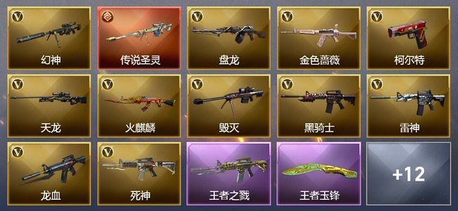 穿越火线（CF）1传说武器 8王者武器 35V武器 3V角色 9皮肤 可排位