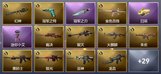 穿越火线（CF）25王者武器 2炫金武器 29V武器 10V角色 21皮肤 可排位