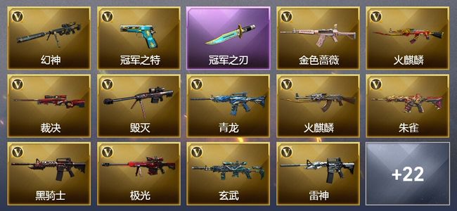 穿越火线（CF）1传说角色 2传说武器 24王者武器 1炫金武器 90V武器 5V角色 17皮肤 可排位
