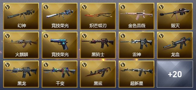 穿越火线（CF）6王者武器 53V武器 4V角色 6皮肤 可排位