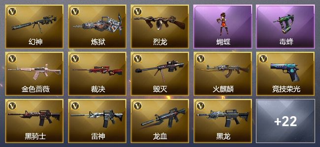 穿越火线（CF）5王者武器 3炫金武器 55V武器 5V角色 14皮肤 可排位