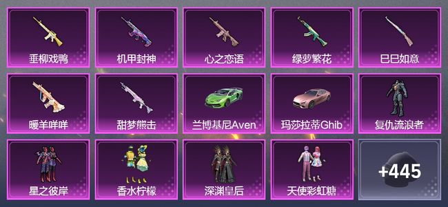 和平精英2载具 9升级枪 8粉装 1飞行器 252套装 108445热力 13印记