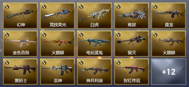 穿越火线（CF）1王者武器 42V武器 15V角色 16皮肤 可排位