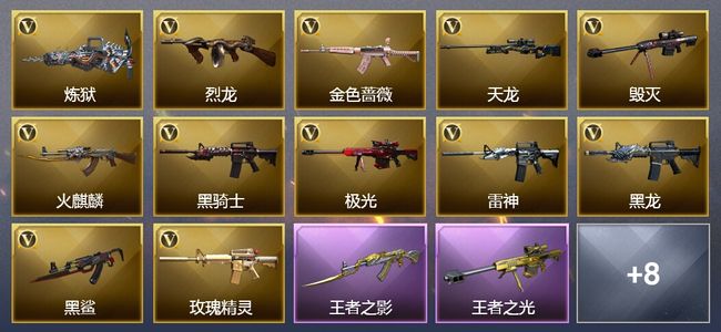 穿越火线（CF）3王者武器 30V武器 3V角色 7皮肤 可排位