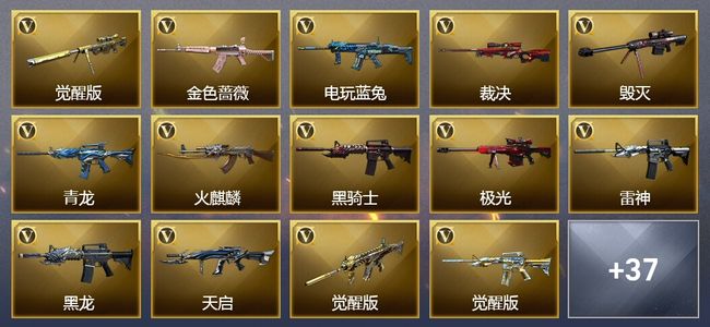 穿越火线（CF）13王者武器 4炫金武器 63V武器 35V角色 20皮肤 可排位