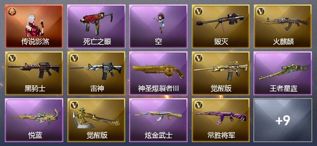 穿越火线（CF）1传说角色 4王者武器 1炫金武器 23V武器 19V角色 8皮肤 可排位