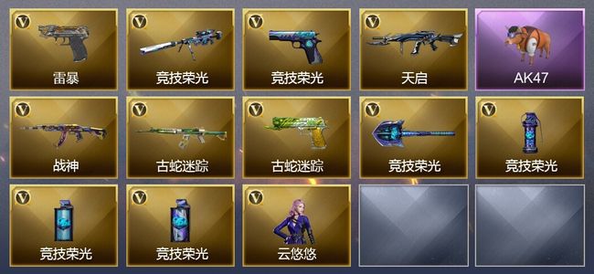 穿越火线（CF）13V武器 6V角色 1皮肤 可排位