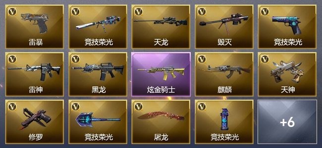 穿越火线（CF）1炫金武器 23V武器 5V角色 3皮肤 可排位