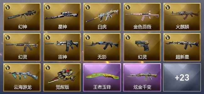 穿越火线（CF）3王者武器 1炫金武器 39V武器 16V角色 11皮肤 可排位