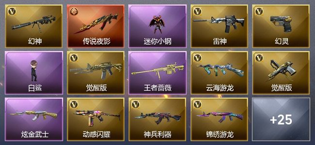 穿越火线（CF）1传说武器 3王者武器 1炫金武器 22V武器 19V角色 12皮肤 可排位