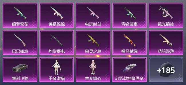 和平精英1载具 10升级枪 2粉装 5尾迹 137套装 51402热力 13印记