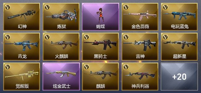 穿越火线（CF）1王者武器 1炫金武器 23V武器 21V角色 10皮肤 可排位